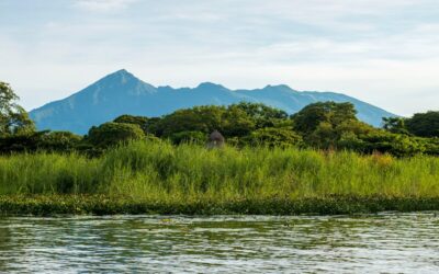 Rellenos Faciales en Granada: El Arte de Encontrar tu Mejor Versión